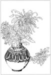 植物手绘底图