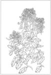 国画线稿