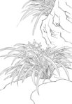 花草线稿图
