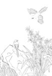 花草线稿图