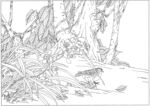 蕙兰手绘插画