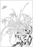 蝴蝶兰手绘
