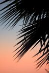 槟榔海边夕阳
