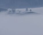 冬天雪天积雪树林野外