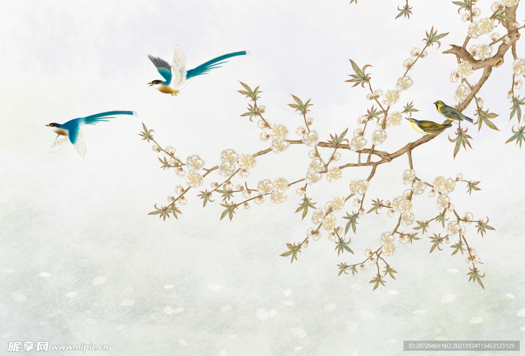 花鸟