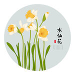水仙花手绘
