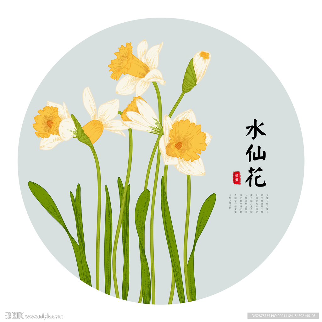 水仙花手绘