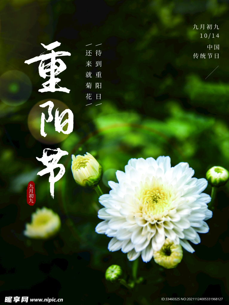 重阳节