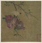 石榴古代画