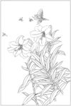 花朵线稿插图