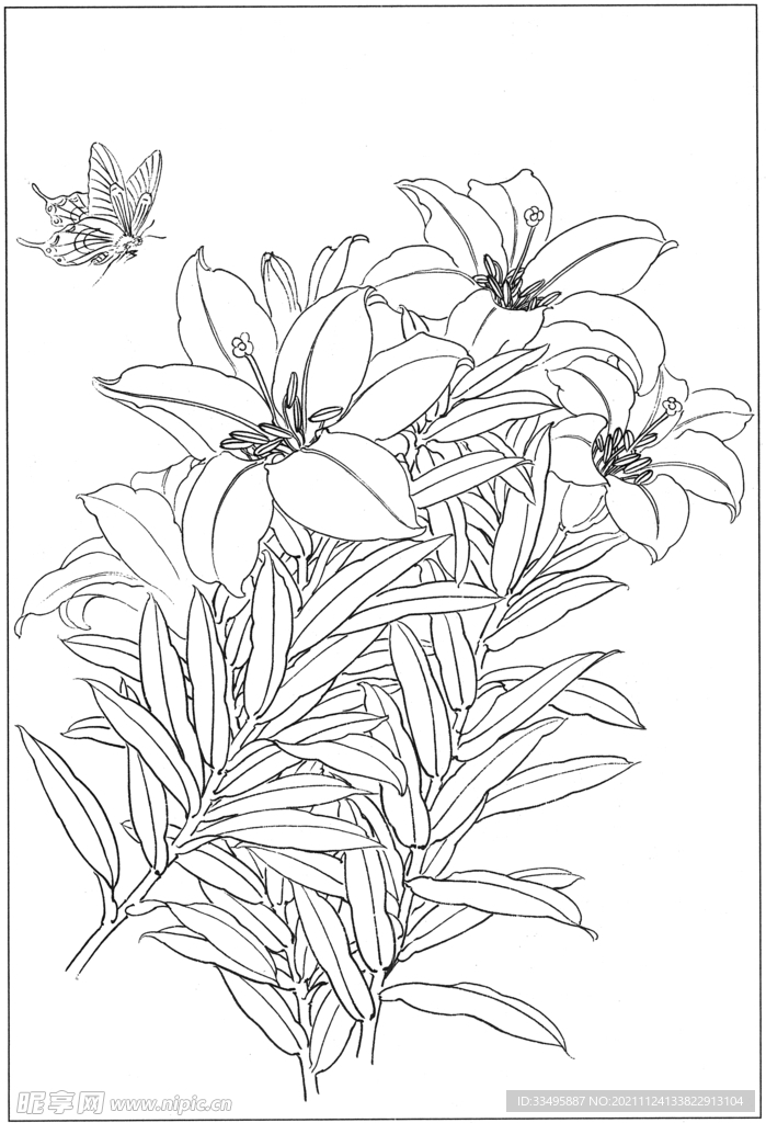 花朵白描