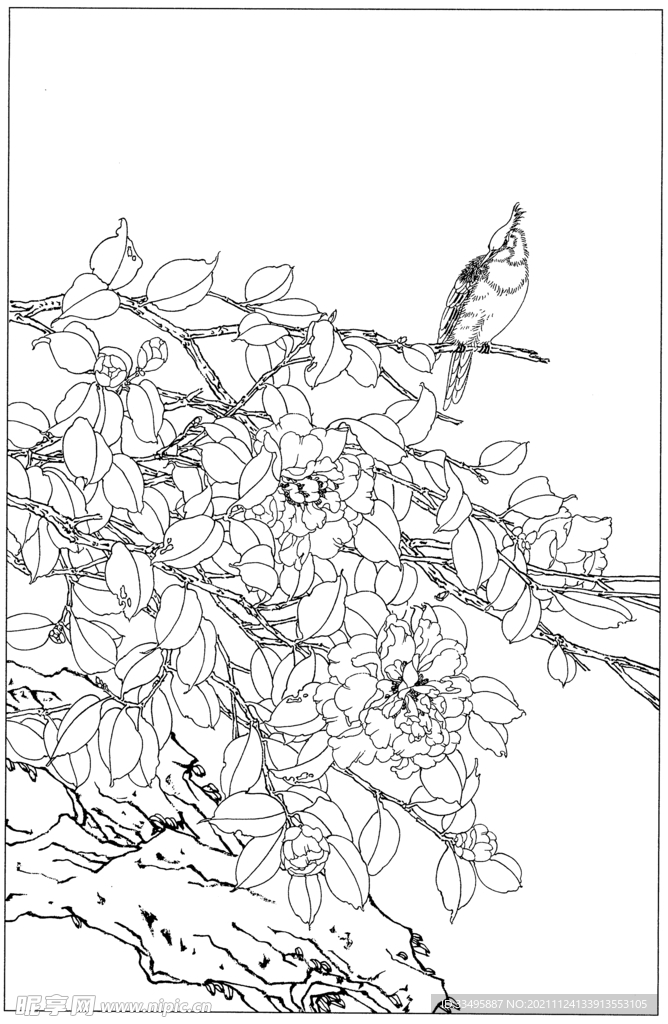 绘画素描图