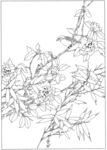 花朵线稿图