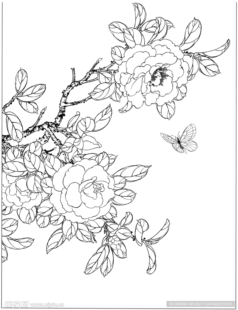 花束线稿图