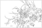 花朵插画图