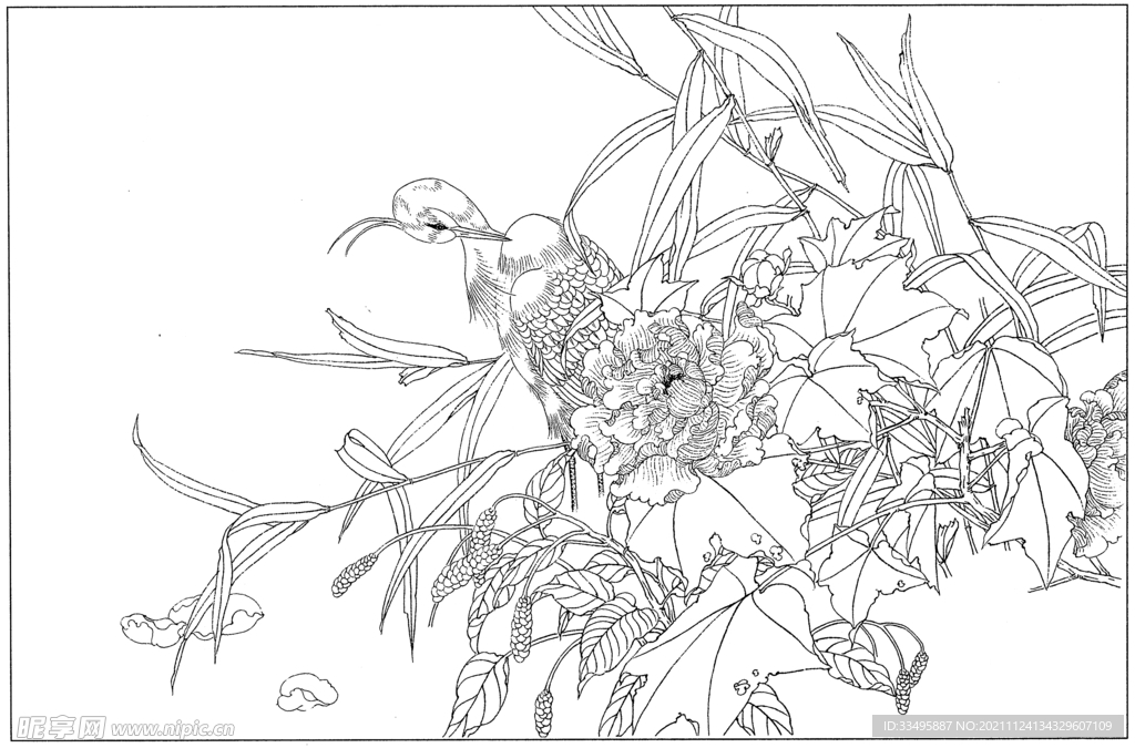 花朵插画图