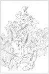 白描手绘