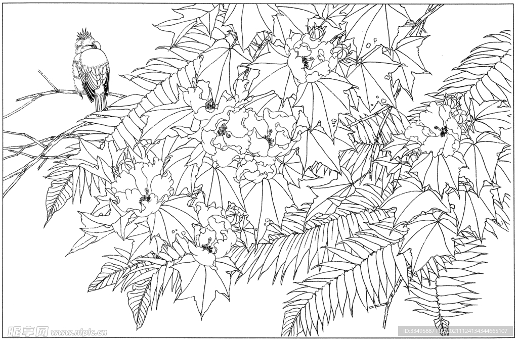 植物花卉线稿图