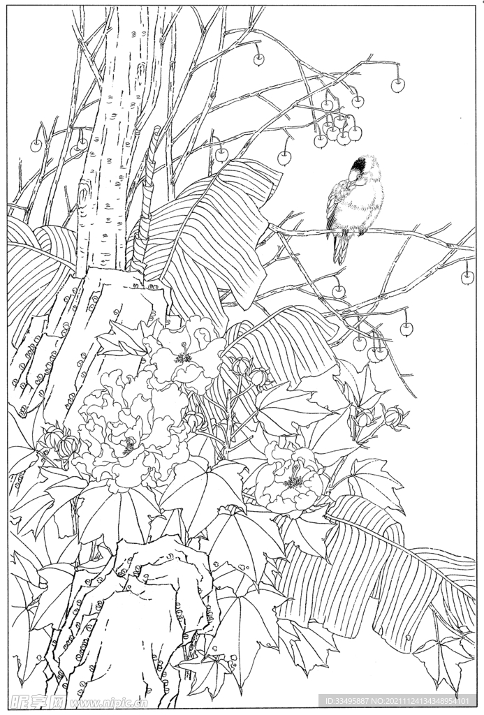 植物手绘线稿