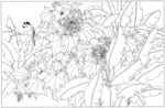 手绘芙蓉