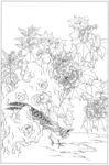 白描线稿图