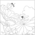 荷花素描图