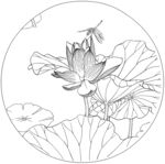荷花底纹