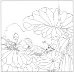 荷花国画