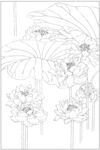 荷叶线稿素描图