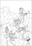 线描图荷花