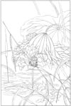 荷花白描图