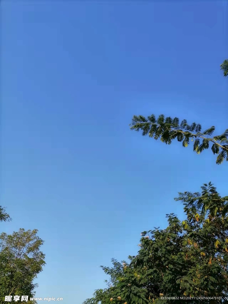 秋