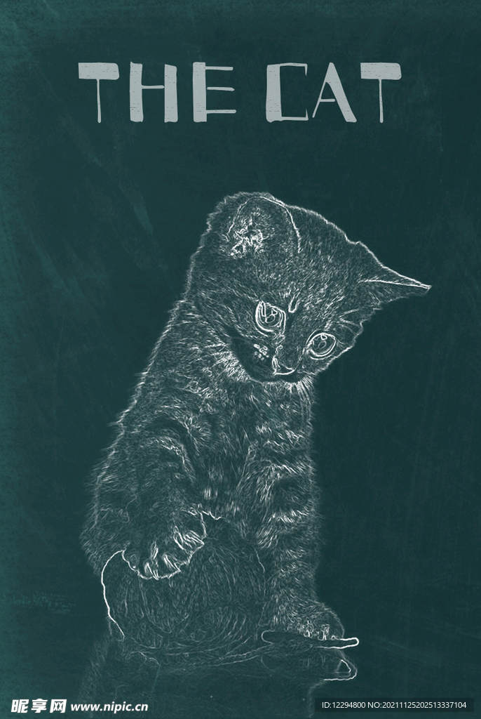 猫咪
