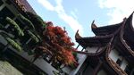 建筑风景