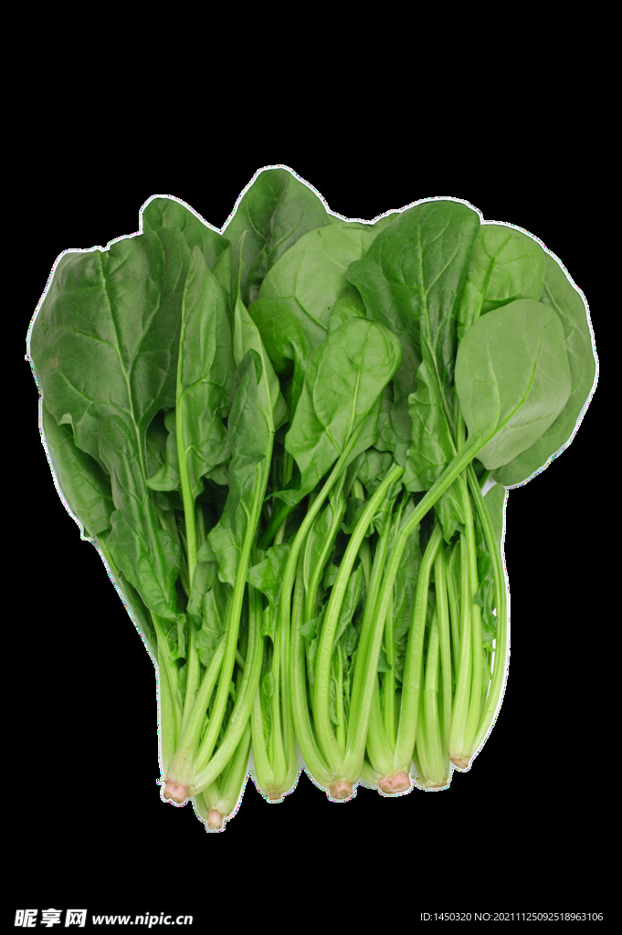 菠菜
