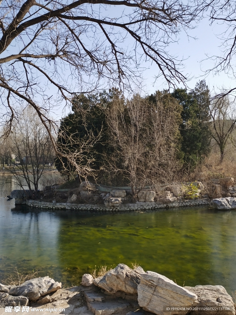 公园风景