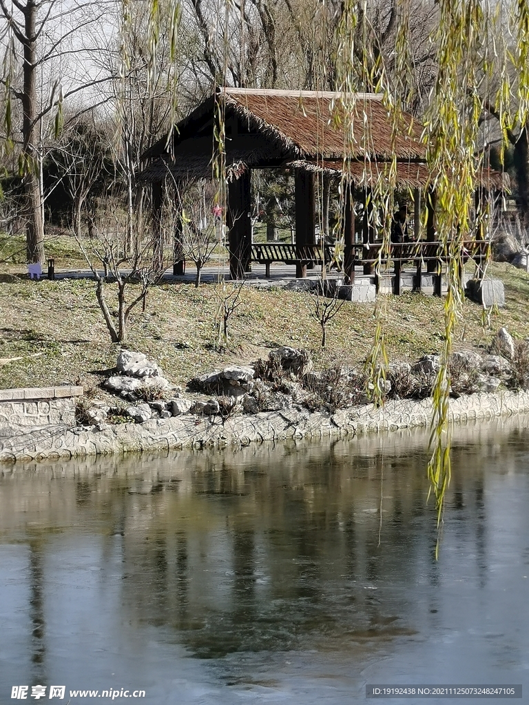 公园风景 