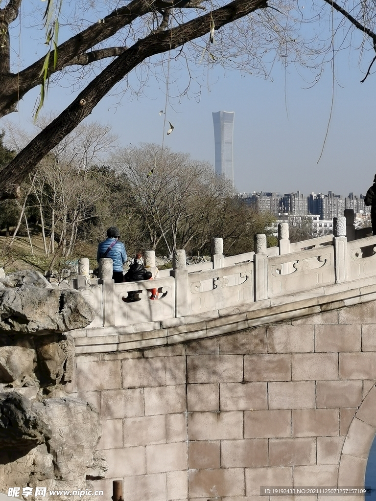 公园风景 