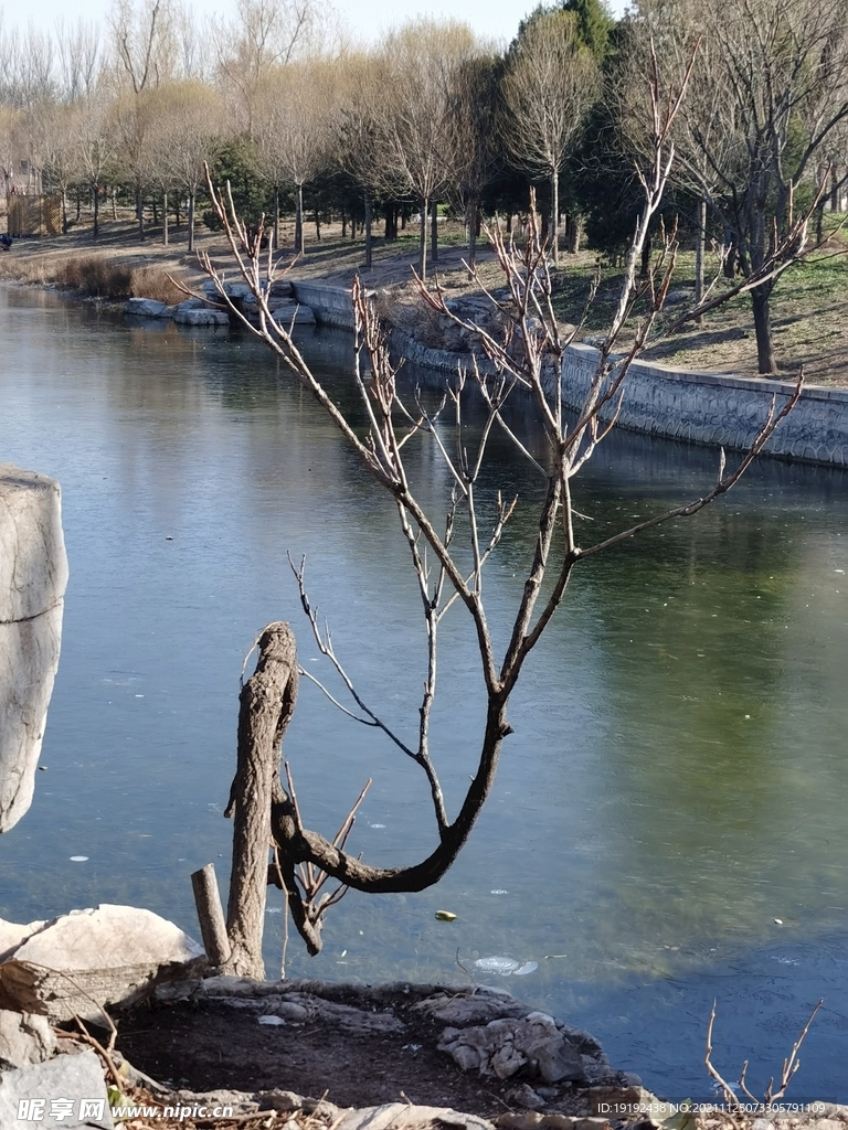 公园风景 