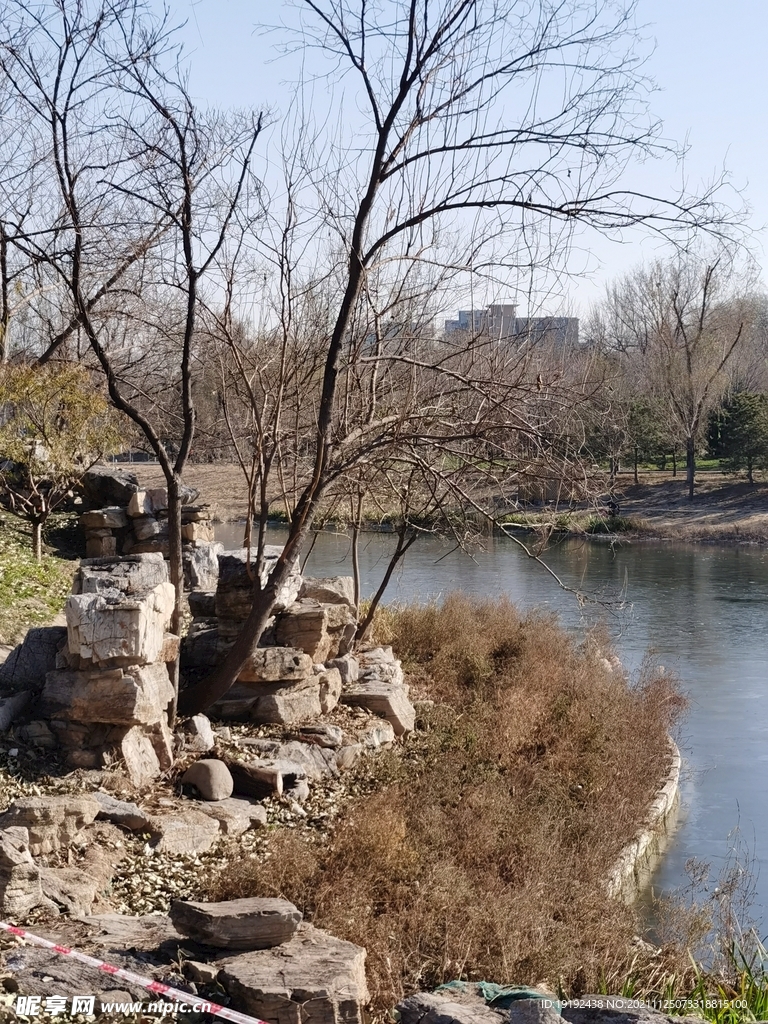 公园风景 