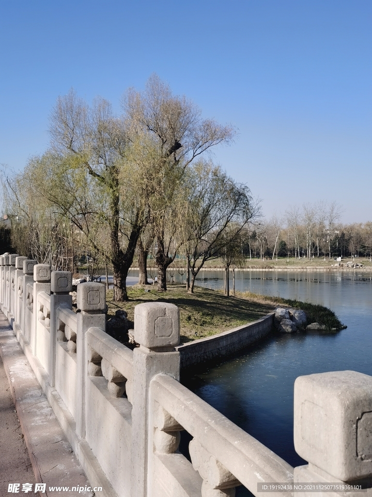 公园风景 