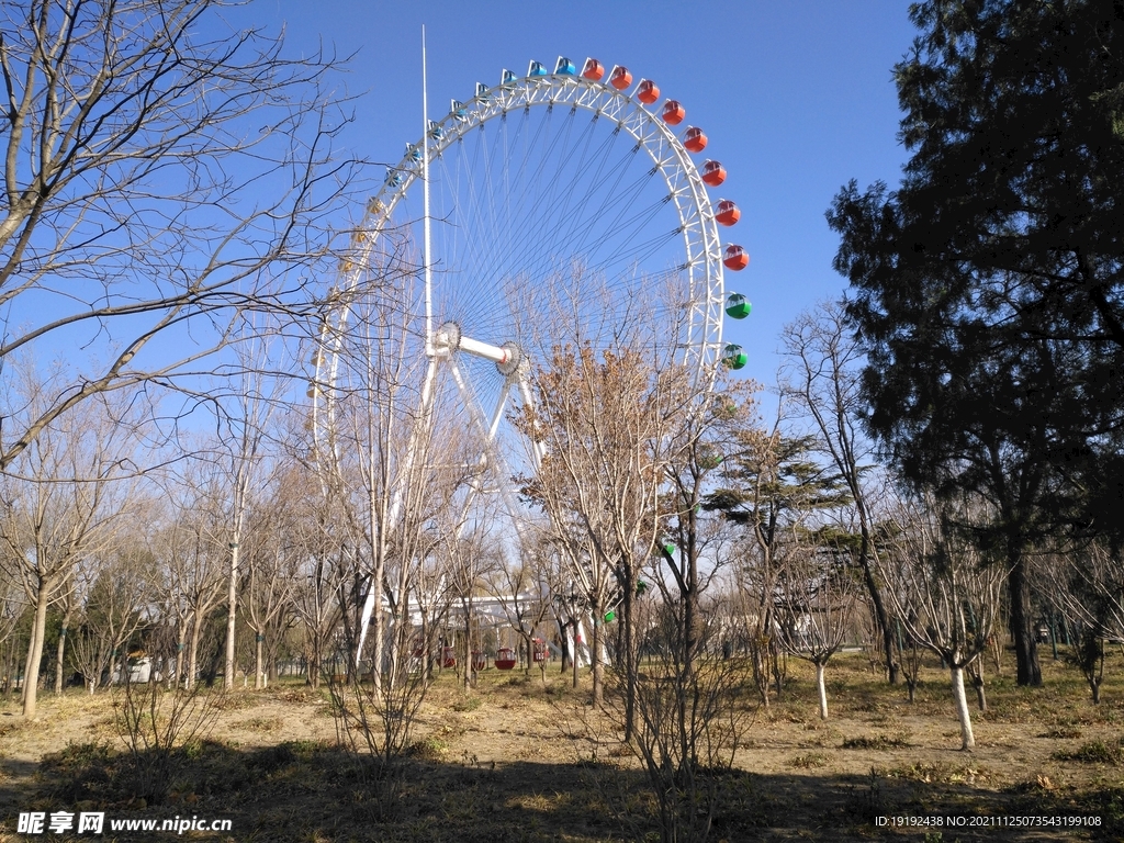 公园风景 