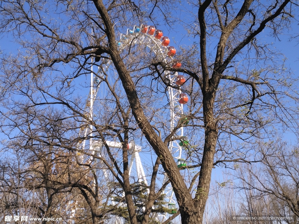 公园风景 