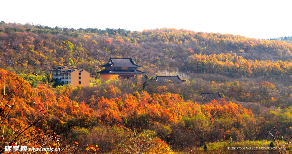 铁山寺