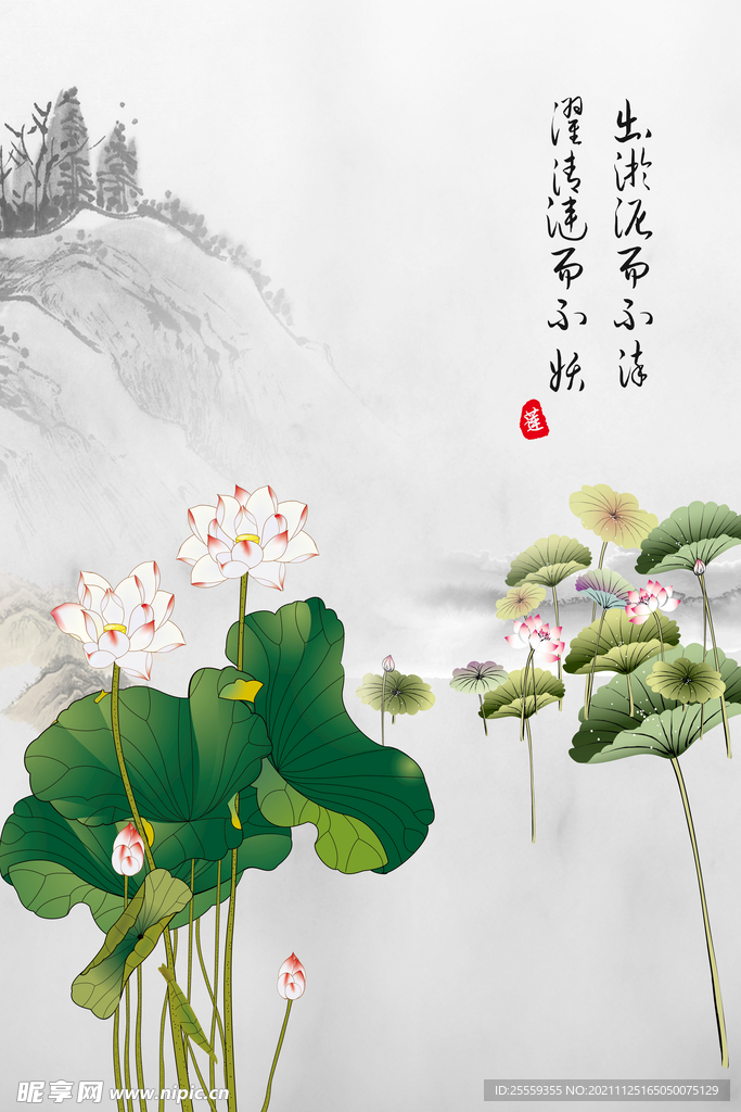 荷花