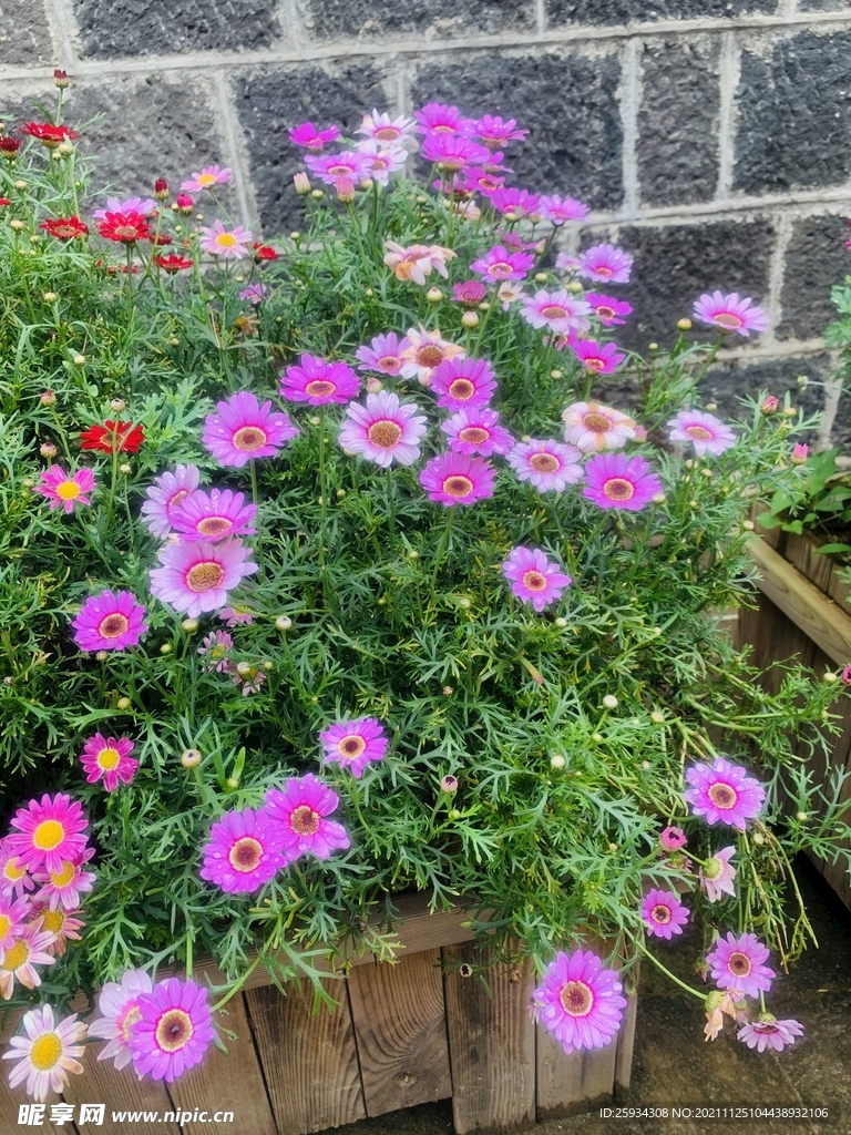 花