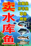 鱼（分层不明细）