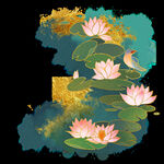 手绘荷花插画海报图片 