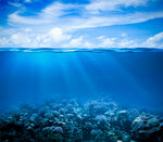 海底世界
