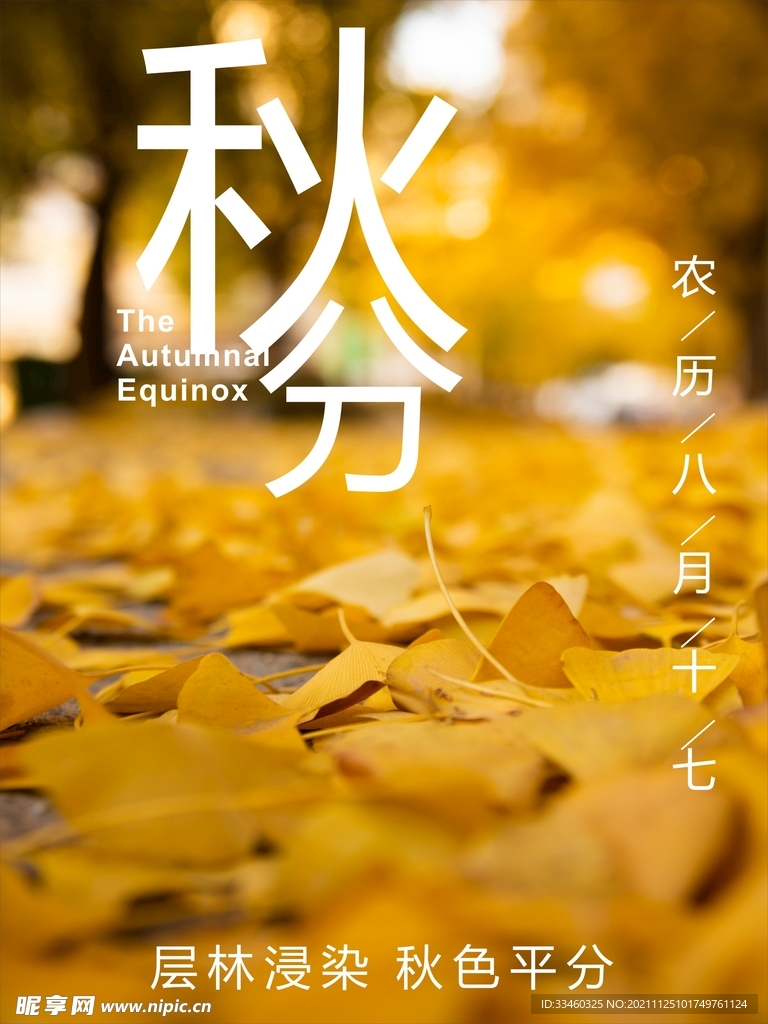 秋分